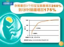 ���м��������裬�ճ���ʳ�к��и�ˮƽDHA��