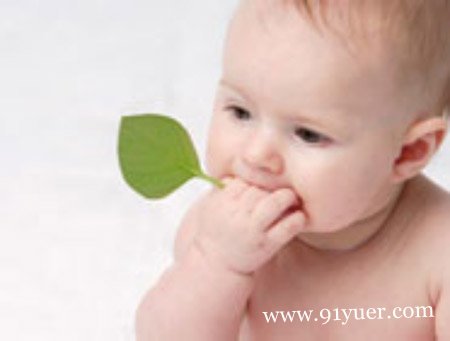 �Ÿ��±���ʳ�� ��Ӫ���ֺ�����ʳ�ñ�����ʳ�����Ȥ