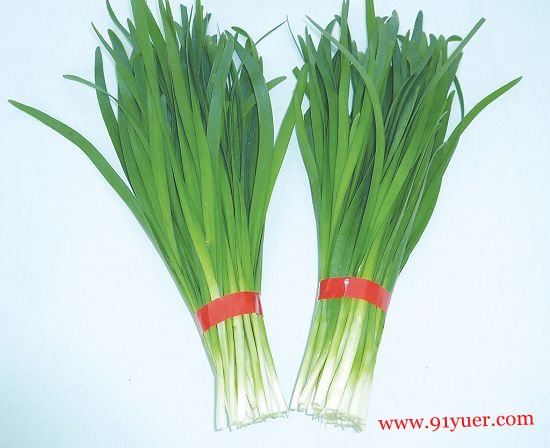 �и��ܳԾ²��� �и����ԳԵ���Ҫ����л�����ͨ������
