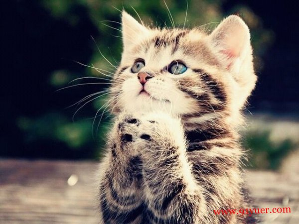 �и����� �и������μ�è������Ԣ��