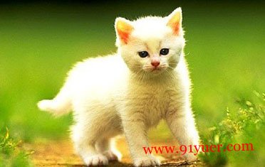 �и����� �и������μ�è������Ԣ��