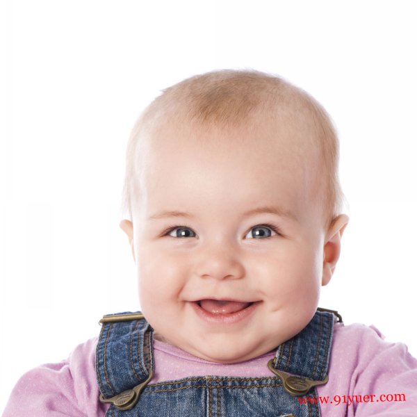 ���౦����ʳ��ȫ ����20��ŨŨ�����Ӫ����ʽ������