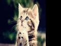 �и����� �и������μ�è������Ԣ��