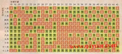 ������Ů�幬ͼ2014 С�������ο����峯��͢Ԥ��ͼ