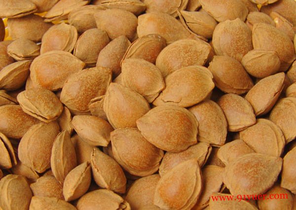 �и��ܲ��ܳ����� ���ʶ��и���ʲôӰ��
