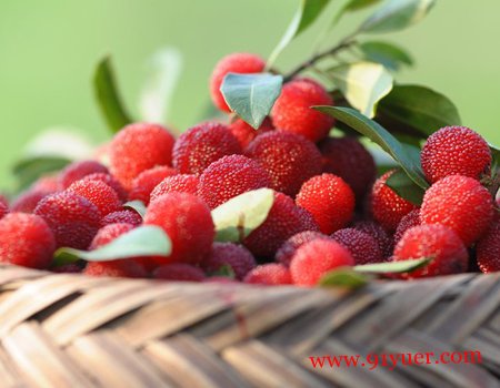 �и��ܳ���÷�� ������������ע����÷���ʶȼ��Ƿ�ɾ�