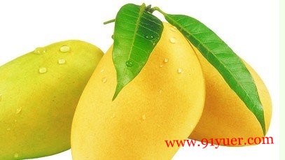 �и��ܲ��ܳ�â������ Ӫ����ֵ������Ƥ�������߲��˳�