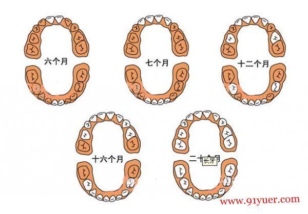 Ӥ��ʲôʱ���� ��������˳���ȹ�������