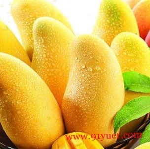 �и���â����ʲô�ô� ��ǿ�ֿ�������Ż�»�������Ƥ��
