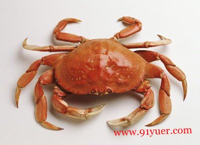 �и��ܳ��з�� �Ժ����������������ò�Ҫʳ��