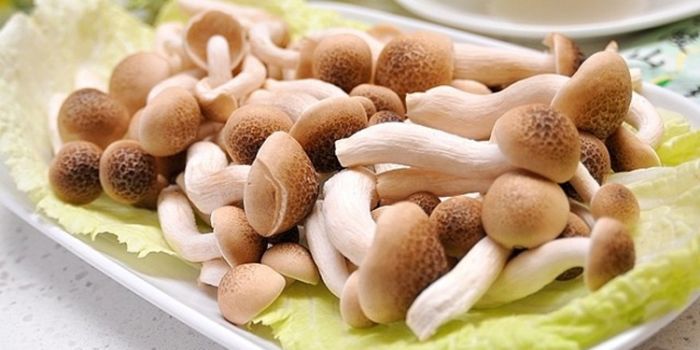 �����ڿ��Գ�зζ���� ��зζ���ĺô������ www.91yuer.com