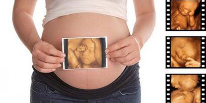 �ʳ���b�������� �и�����ά�ʳ�����Ǯ www.91yuer.com