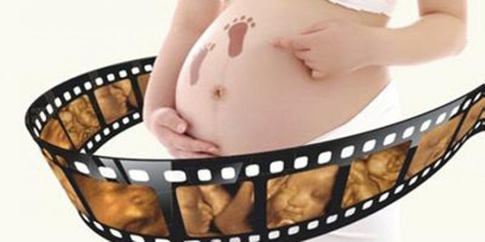 �ʳ���b�������� �и�����ά�ʳ�����Ǯ www.91yuer.com