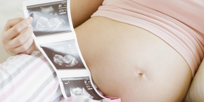 �ʳ���b�������� �и�����ά�ʳ�����Ǯ www.91yuer.com