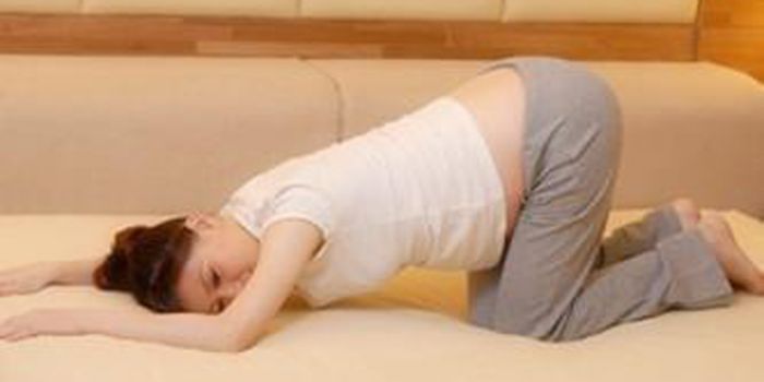 ��ʲô����̥λ���� ����̥λ�����ķ��� www.91yuer.com