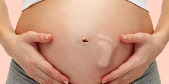 ���ж��̥����̥�� ̥����ʲô�о� www.91yuer.com