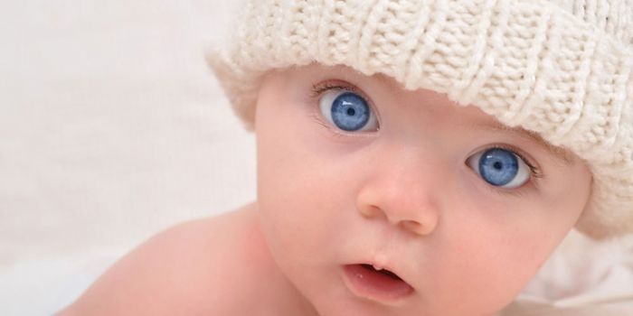 2016��ﱦ�����³������ ���弪�ս��� www.91yuer.com