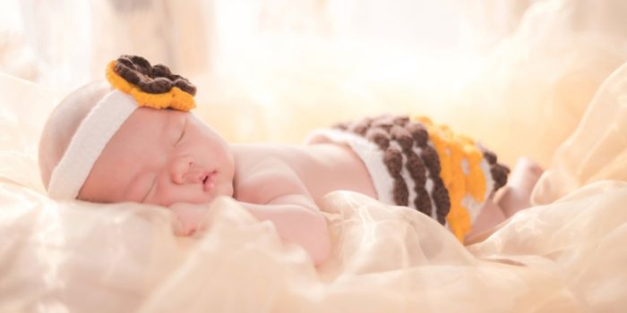 2016��6�����¾Ƽ�������Щ 6�����¾Ƽ���һ���� www.91yuer.com