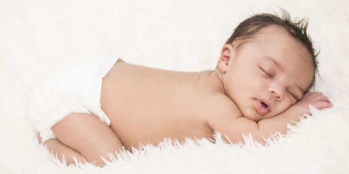 �ϻ���2016��10�����Ӽ��� ������һ�����õĿ��� www.91yuer.com