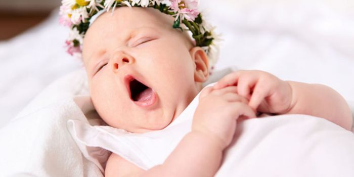 �ϻ���2016��10�����Ӽ��� ������һ�����õĿ��� www.91yuer.com