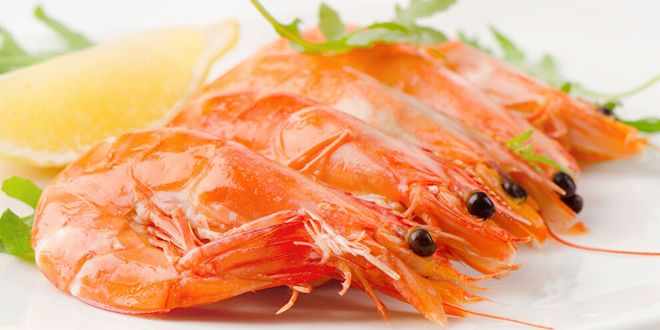 ����6����ע������ ����Ӫ����ȡ����� www.91yuer.com