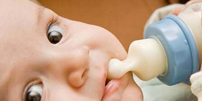 ��������ҧ��ͷ��ô�� ι��Ҫ�������� www.91yuer.com