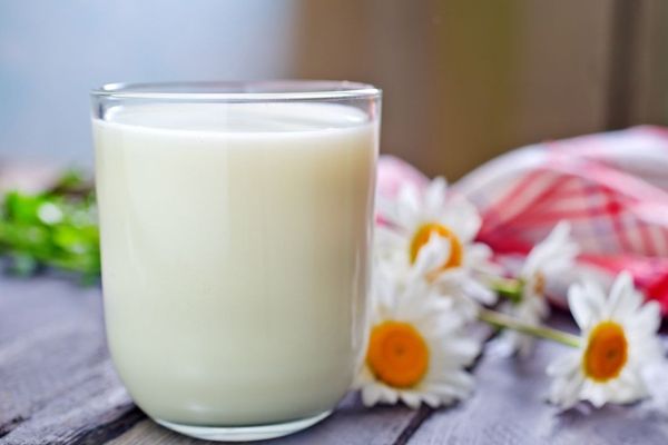 �и���ţ�̵ĺô� �и���ʲôţ����� www.91yuer.com