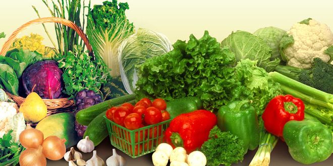 ����ָ���ʲô�� 8�������������� www.91yuer.com