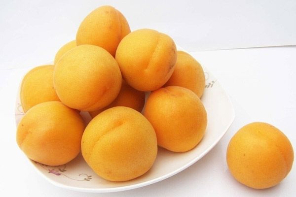 �и����ܳԵ�ˮ������Щ С����ʳ��֤���彡�� www.91yuer.com