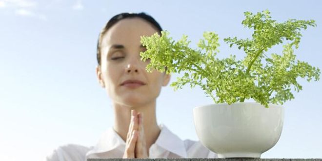 Ů�ԴƼ��ص͵�֢״ �Ƽ��ص����ý��� www.91yuer.com