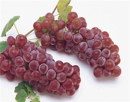 �����ڷ纮��ð���Գ�ʲô�� www.91yuer.com