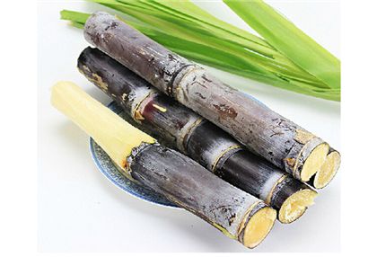 �����ڸ�ð���Գ�ʲôˮ���� www.91yuer.com