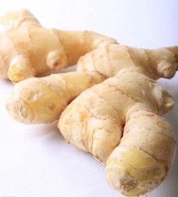 �糿�����Ե㽪����Ч www.91yuer.com