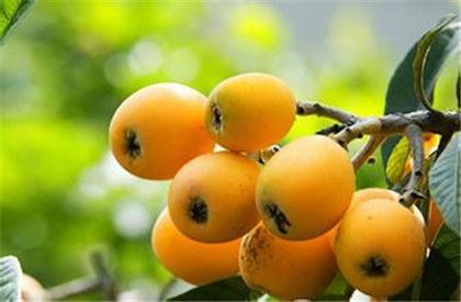 �����ļ���ð��ʲôˮ���ã� www.91yuer.com