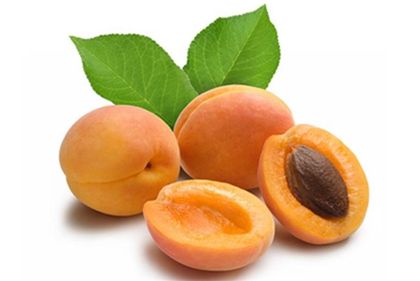 �����ļ���ð��ʲôˮ���ã� www.91yuer.com