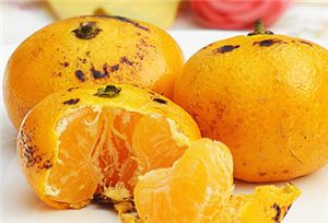 孕妇感冒咳嗽吃什么食物好 www.91yuer.com