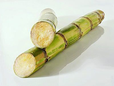 �����Ը�ð���ճ�ʲôˮ�� www.91yuer.com